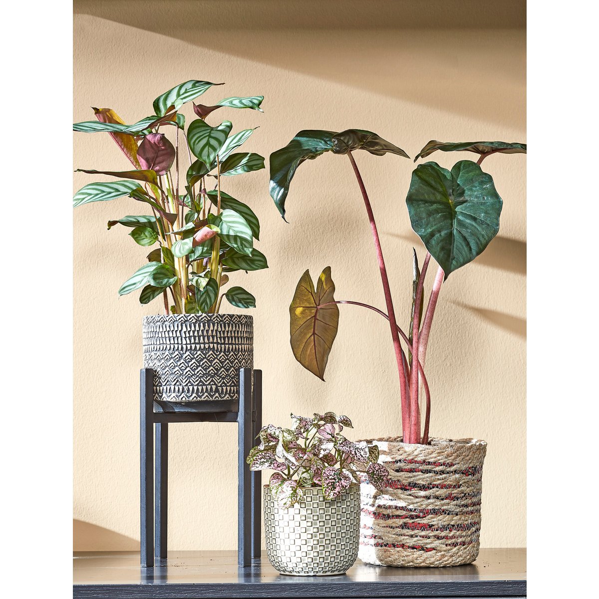 Ascot Plantenstandaard - L14 x B14 x H25 cm - Metaal - Zwart