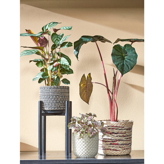 Ascot Plantenstandaard - L14 x B14 x H25 cm - Metaal - Zwart