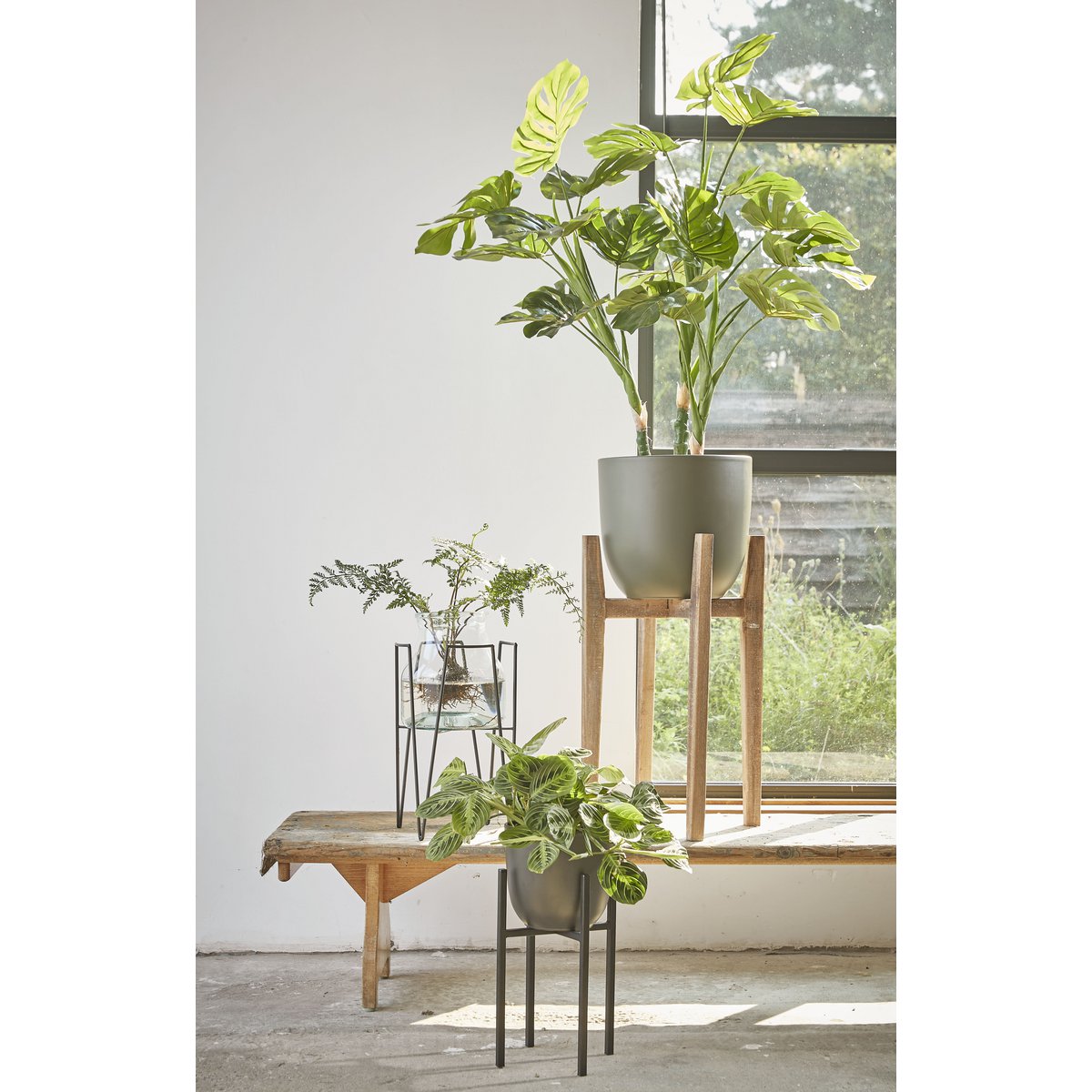 Ascot Plantenstandaard - L14 x B14 x H25 cm - Metaal - Zwart