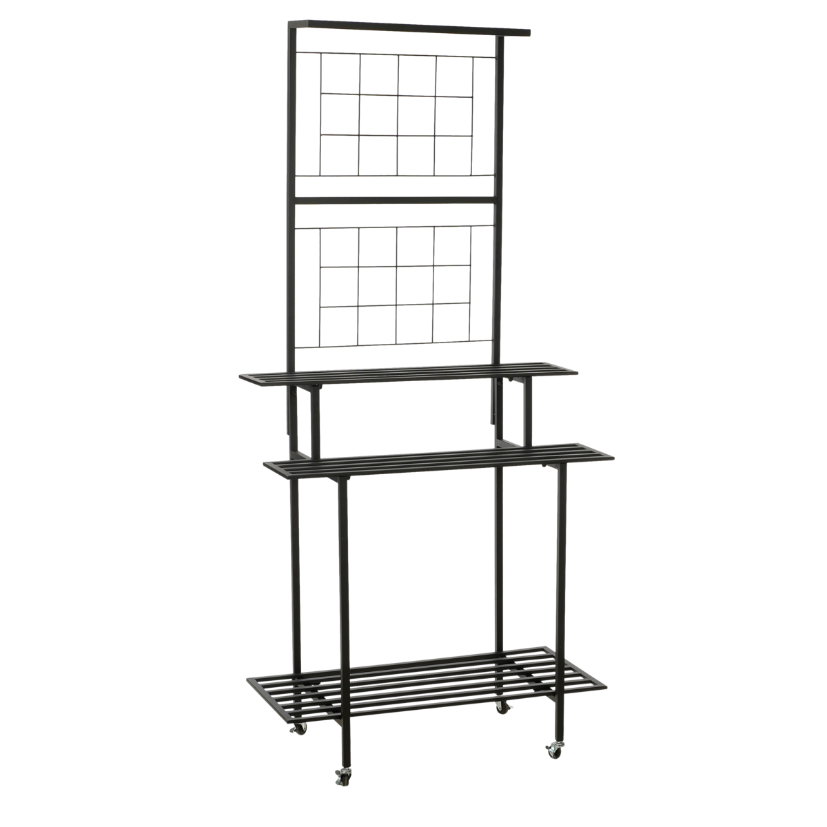 Greenrax Plantenstandaard - L90 x B44 x H190 cm - Metaal - Zwart