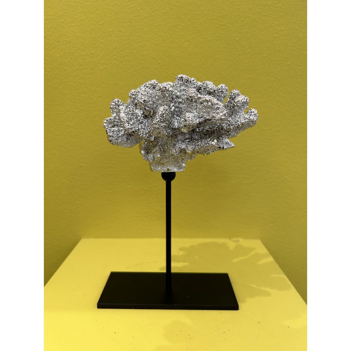 Koraal met metalen standaard ( champagnekleur) | Decoratief Koraal