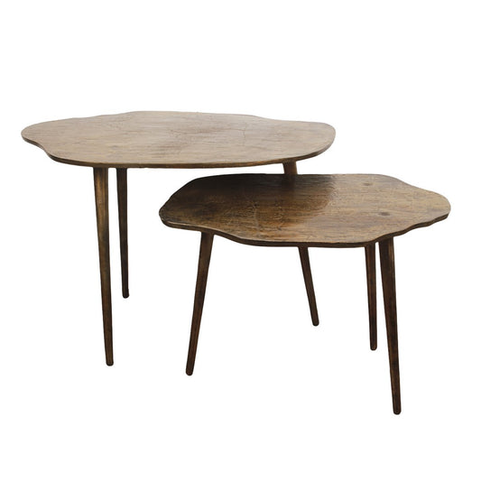 Salontafel set van 2 Sycomore