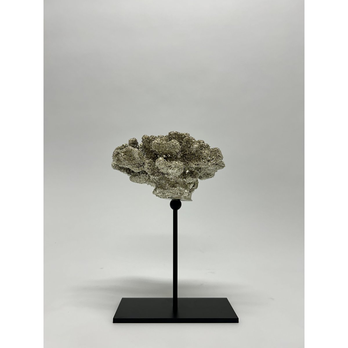 Koraal met metalen standaard ( champagnekleur)  | Decoratie koraal