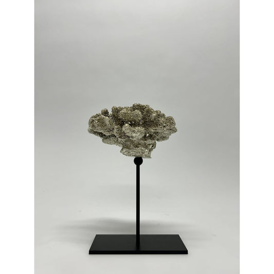 Koraal met metalen standaard ( champagnekleur)  | Decoratie koraal