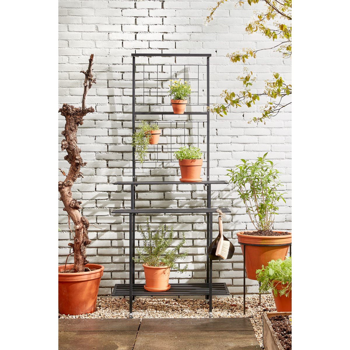 Greenrax Plantenstandaard - L90 x B44 x H190 cm - Metaal - Zwart
