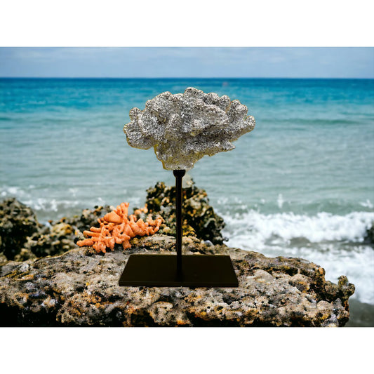Koraal met metalen standaard ( champagnekleur) | Decoratief Koraal