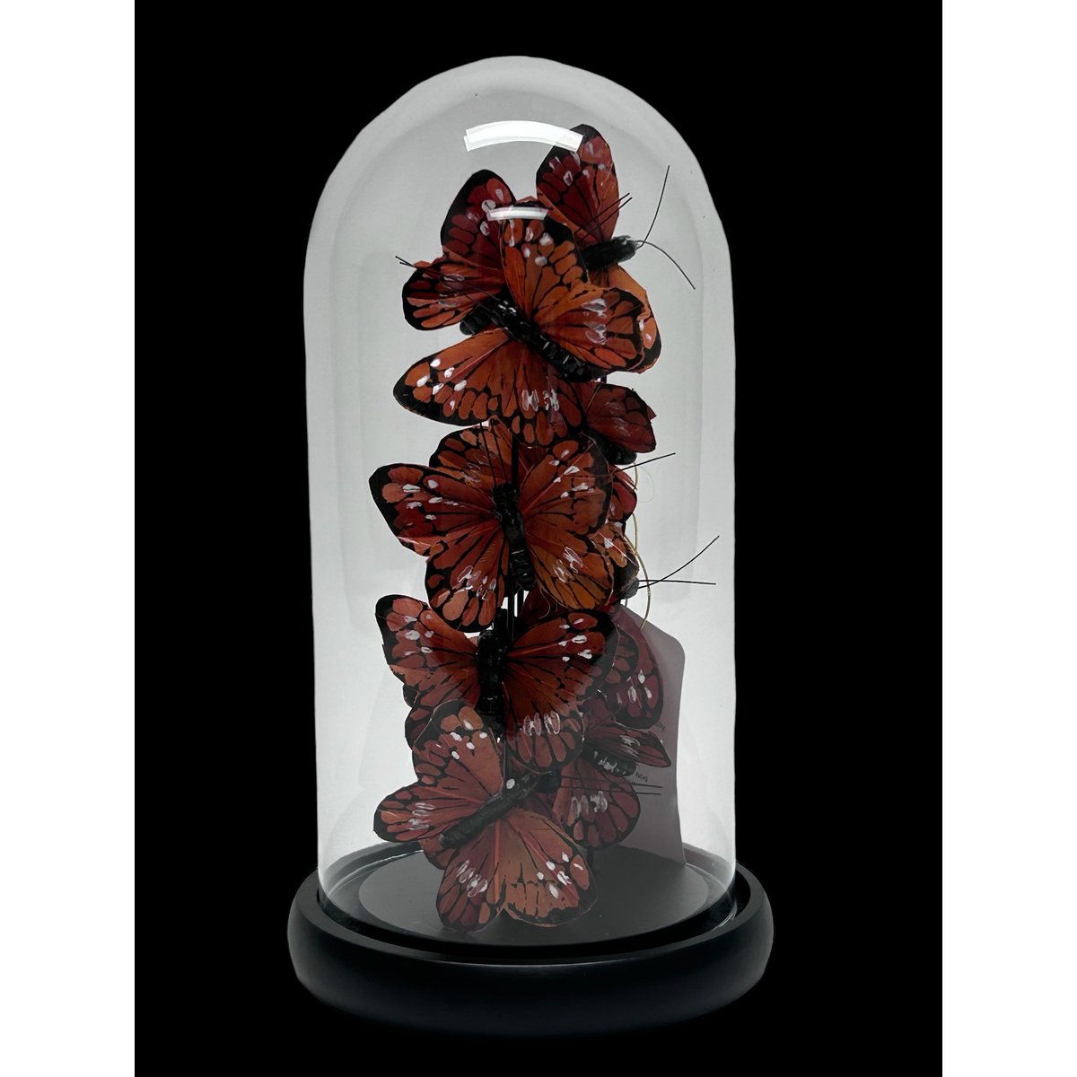 Rood en Zwart Vlinder Stolp(YF-04)