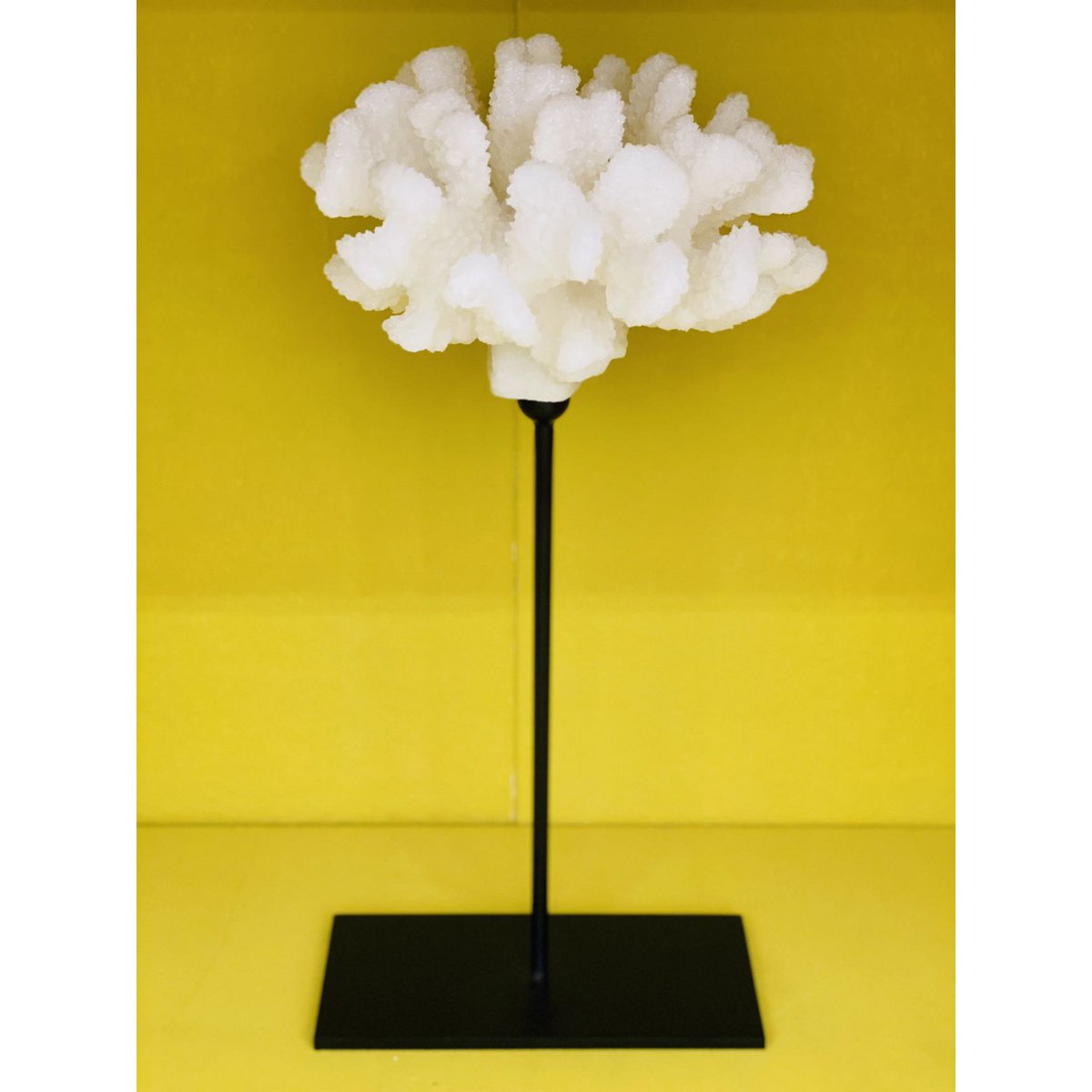 Koraalcollectie met metalen standaard -L-maat: H29cm B15cm D15cm