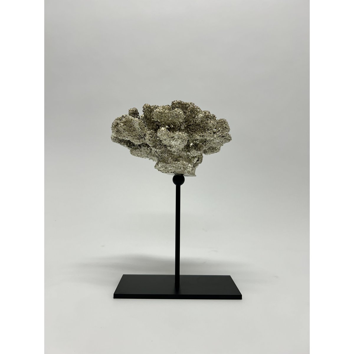 Koraal met metalen standaard ( champagnekleur)  | Decoratie koraal