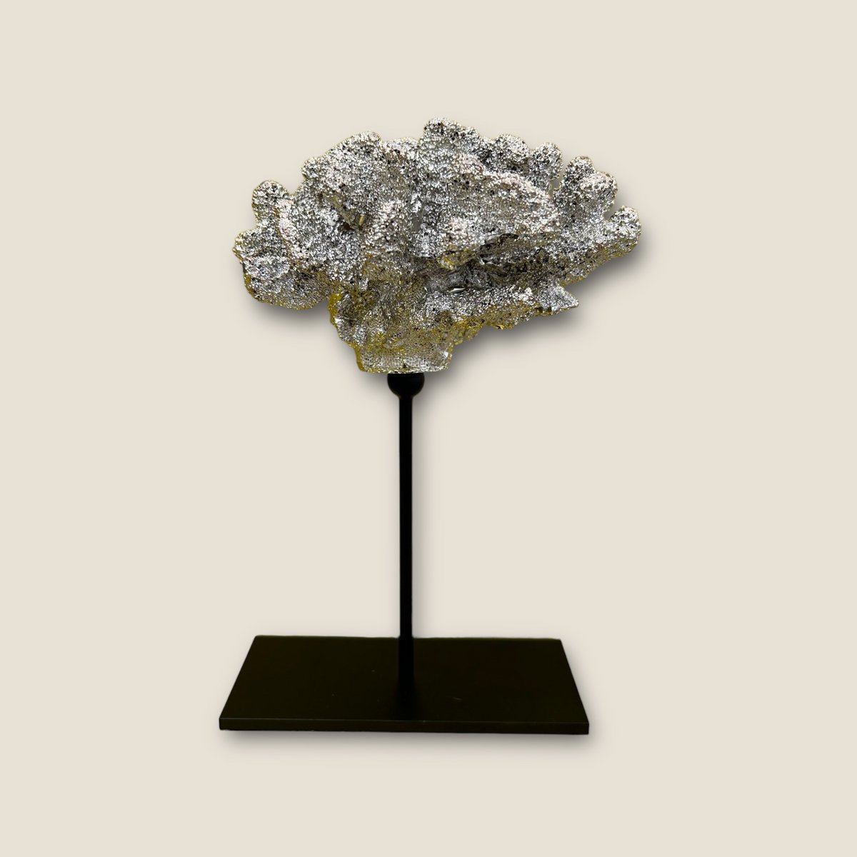Koraal met metalen standaard ( champagnekleur) | Decoratief Koraal